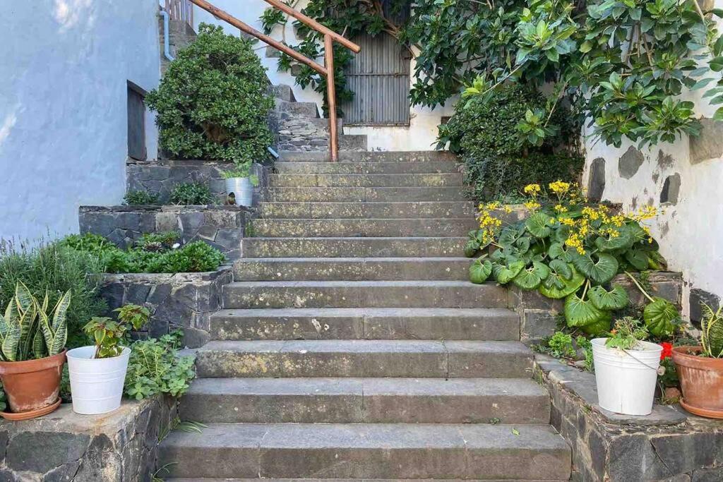 Casita Bioclimatica En El Campo Apartment อารูกัส ภายนอก รูปภาพ