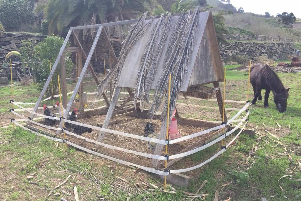 Casita Bioclimatica En El Campo Apartment อารูกัส ภายนอก รูปภาพ